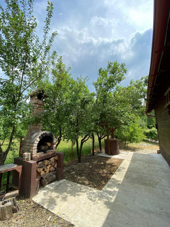 Ab'S Rustic Cabin Dejani 外观 照片