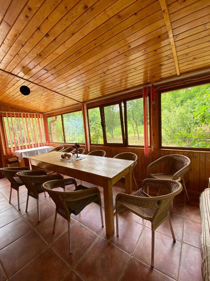 Ab'S Rustic Cabin Dejani 外观 照片